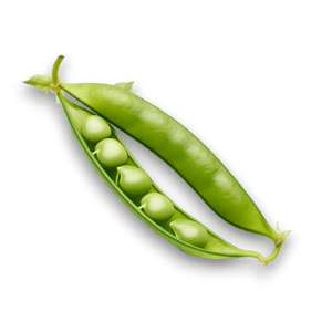 ianc_10992_an_isolated_snap_pea_on_a_white_background_fa02b1f6-5420-411a-a5d6-3a7f1ad648bc-PhotoRoom